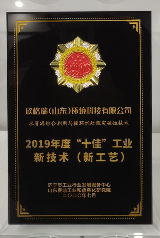 2019年度“十佳”工業(yè)新技術（新工藝）